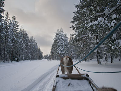Rovaniemi – Lapland - azgezmis.com
