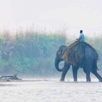 Chitwan - azgezmis.com
