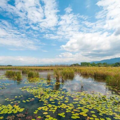 Efteni Gölü - azgezmis.com